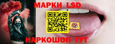 стаф Краснодар