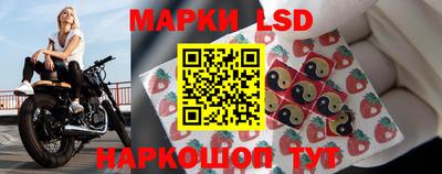 стаф Краснодар