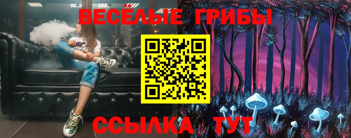 Псилоцибиновые грибы Psilocybe  даркнет сайт  Карталы  Вход с VPN 