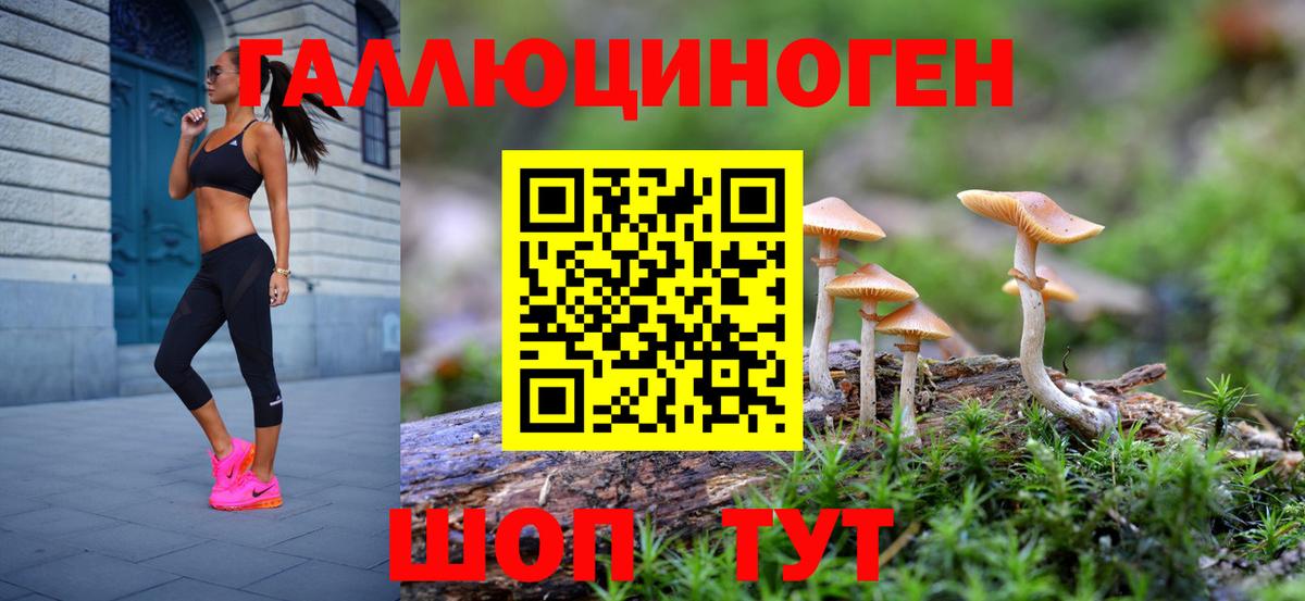 Псилоцибиновые грибы Psilocybine cubensis Карталы