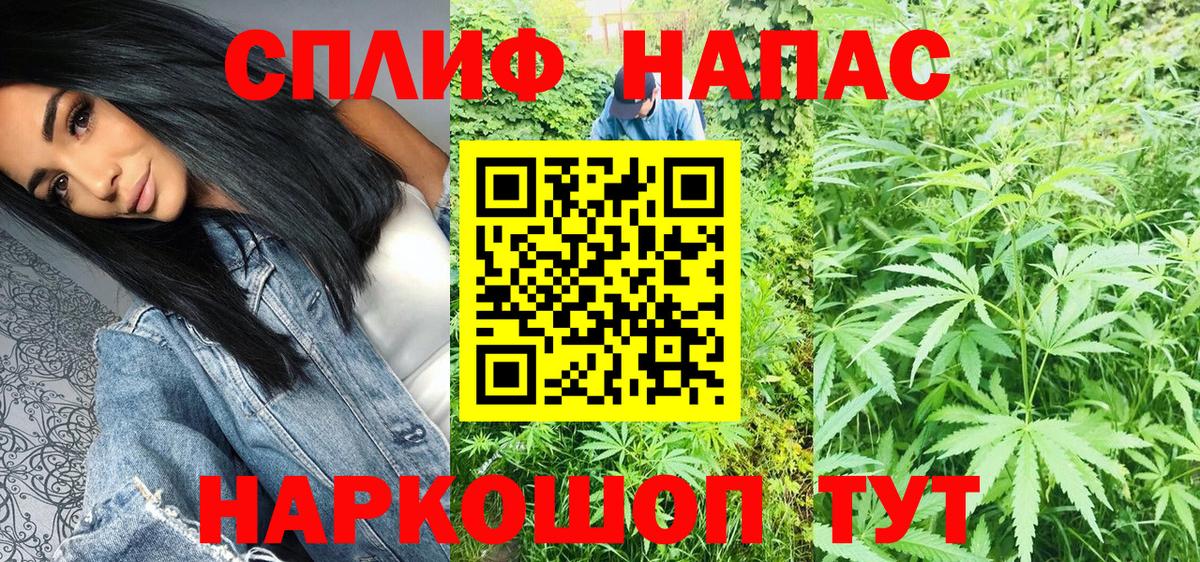 МАРИХУАНА SATIVA & INDICA Карталы